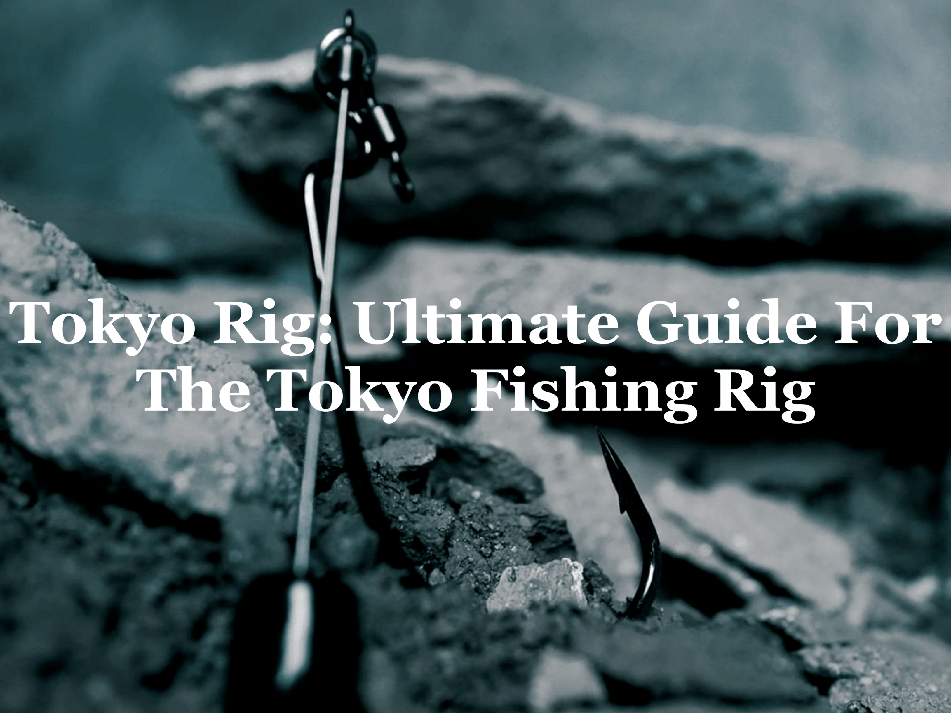Japanese Rig Tokyo Rig: Ultimate Guide For The Tokyo Fishing Rig — Hunting and ...