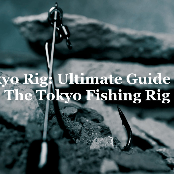 Tokyo Rig: Ultimate Guide For The Tokyo Fishing Rig