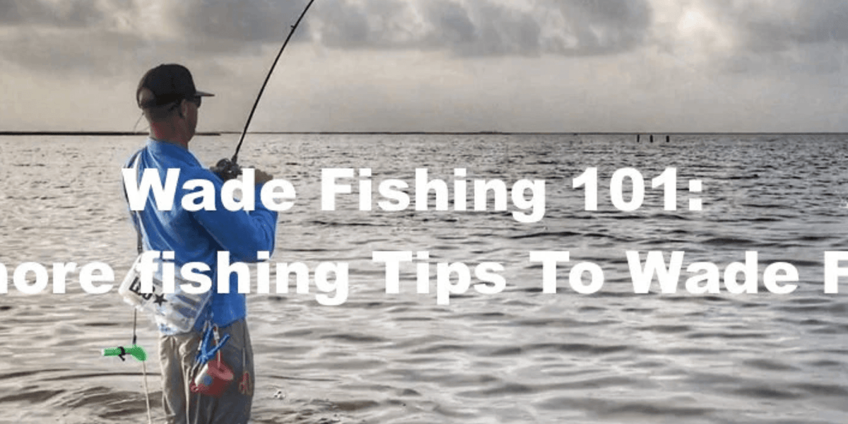 Wade Cod Wade Fishing 101: Inshore fishing Tips To Wade Fish — Hunting and ...