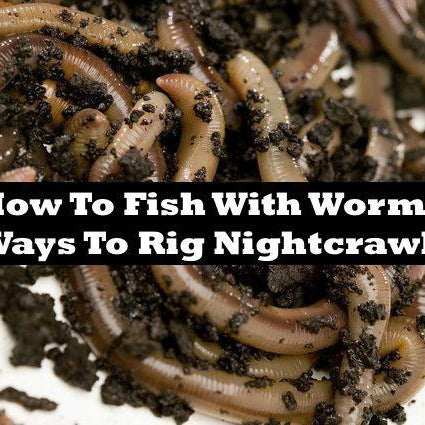 3 ways to rig nightcrawlers