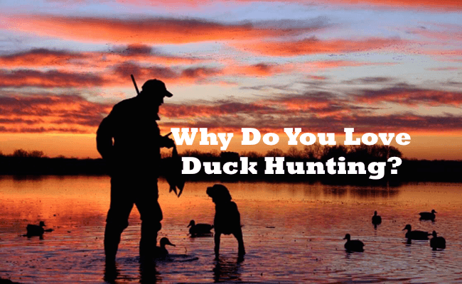 Duck Hunting: The Love For Everything Waterfowl