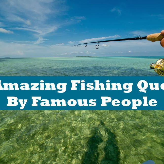 40 Fishing Quotes and Sayings