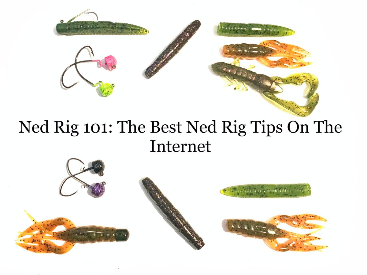 Ned Rig 101: The Best Ned Rigging Tips On The Internet– Hunting