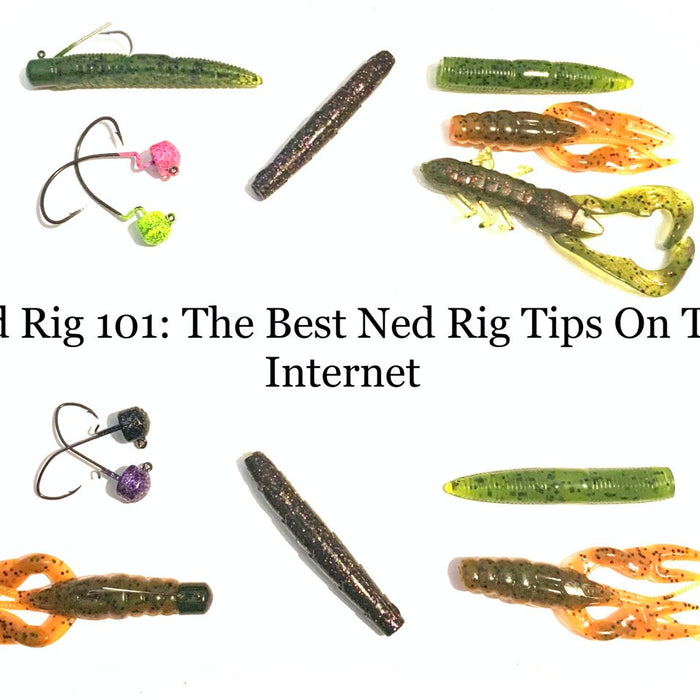 Bass Jig 101: Choosing The Best Types of Bass Jigs– Hunting and