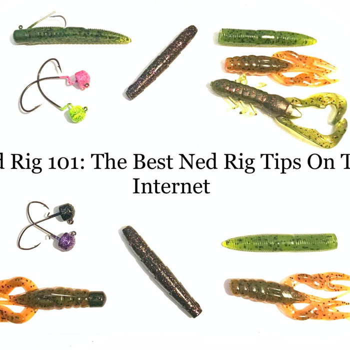 ned rig 101: the best ned rigging tips on the internet