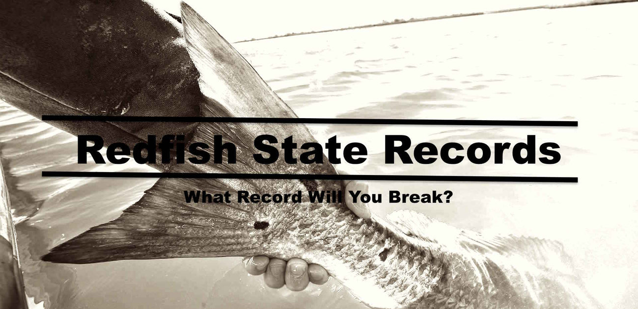 Redfish State Records — Hunting and Fishing Depot