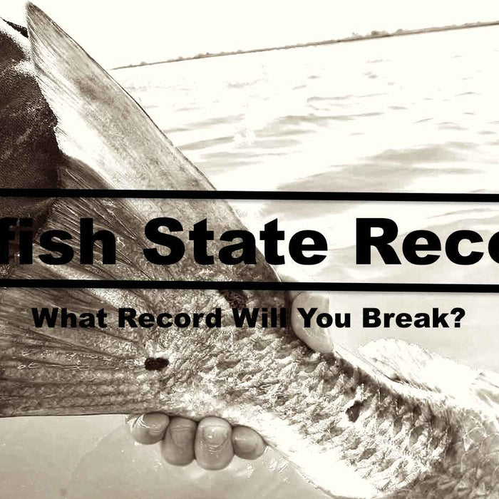 Redfish State Records On Hunting and Fishing Depot