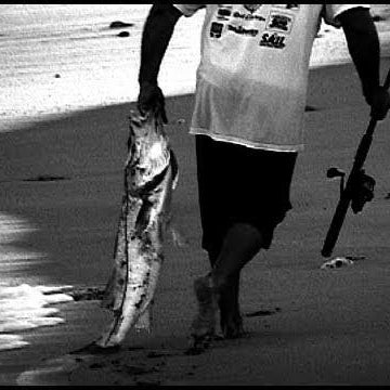 How To Catch Trophy Snook