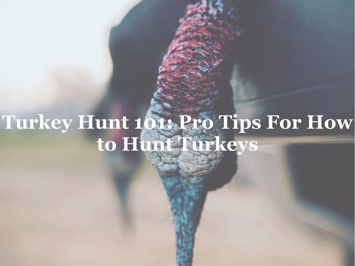 Turkey Hunt 101 Pro Tips For How to Hunt Turkeys Hunting and Fishing