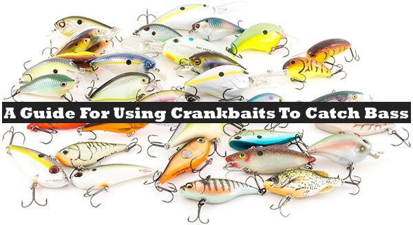 Ultimate Crankbait guide for catching bass