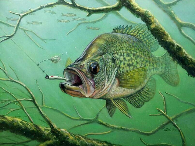 Crappie Jigs