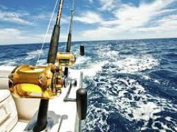 Offshore Fishing Gear on Hunting and Fishing Depot