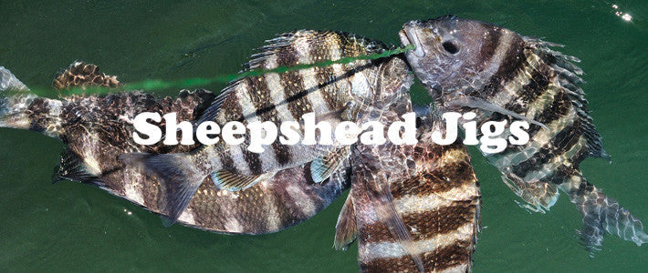 Sheepshead Jigs
