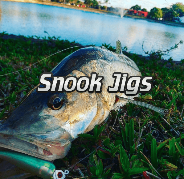 Snook Jigs, Snook Fishing