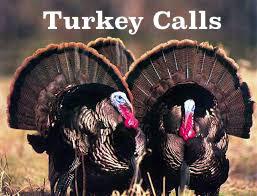 Turkey Calls | Hunting and Fishing Depot