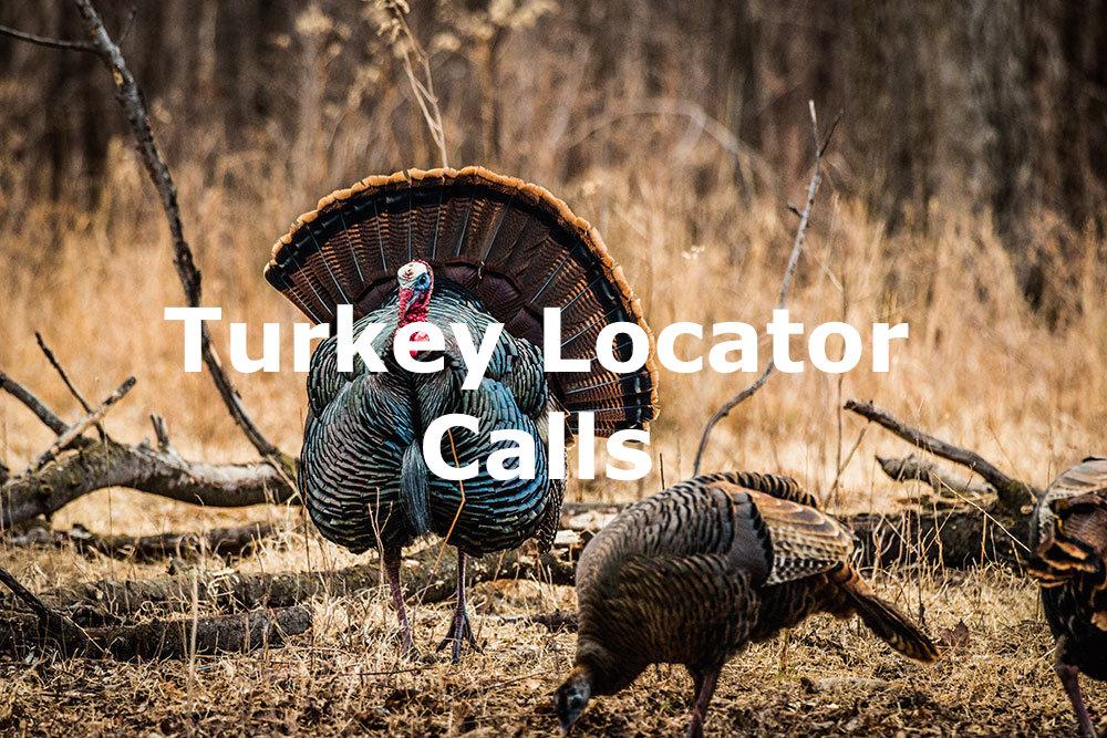 Turkey Locator Calls | Hunting and Fishing Depot