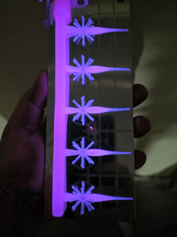 Pink Glow Urchin Minnow crappie bait glowing under UV blacklight