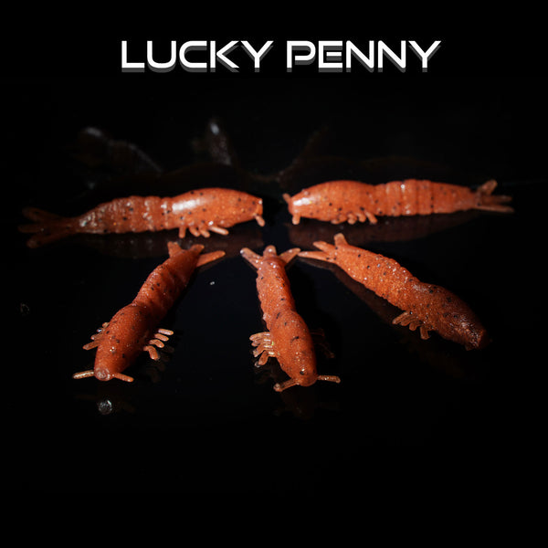 Q8 Super Shrimps