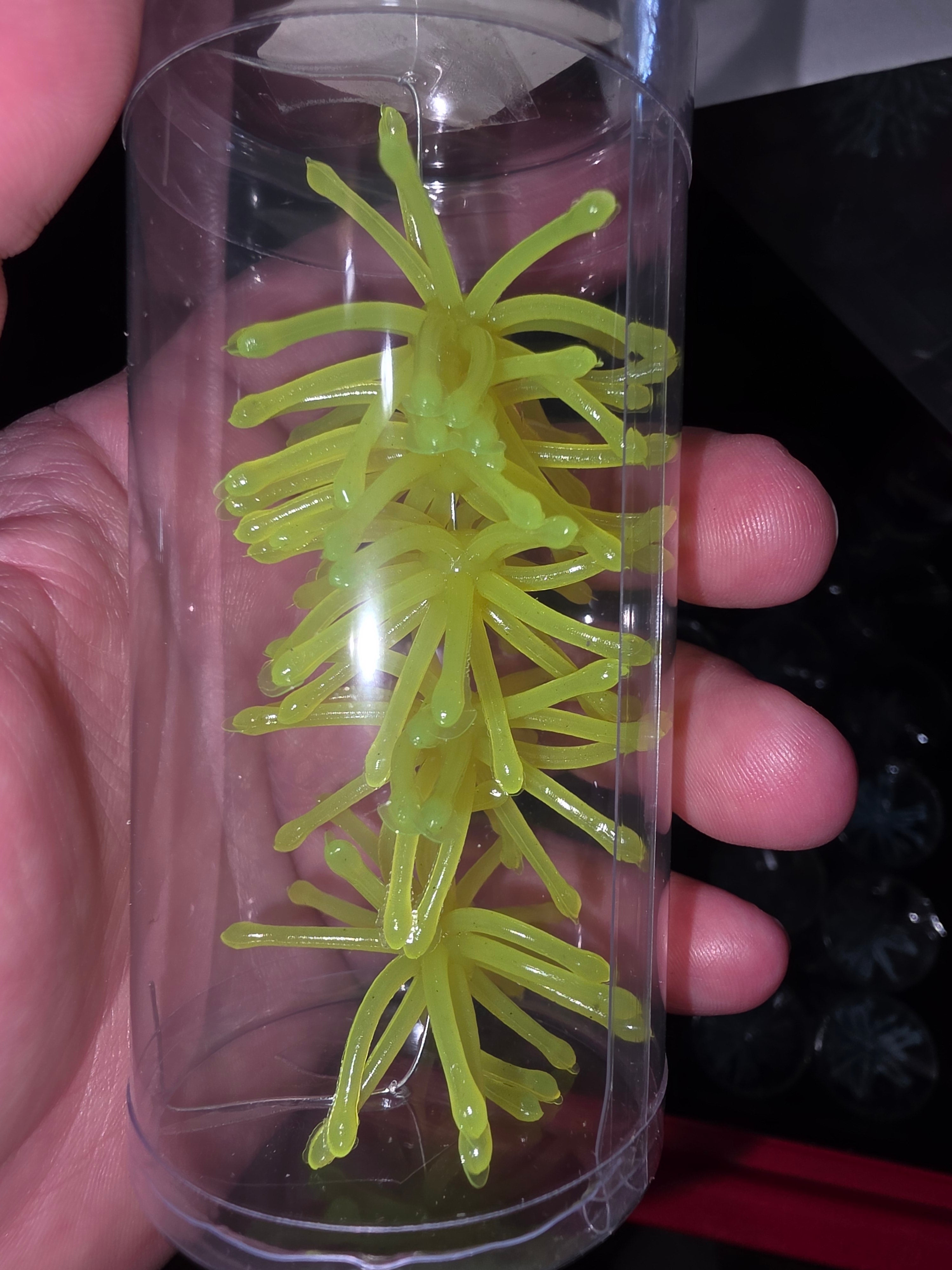 1.75" Super Crappie Urchins