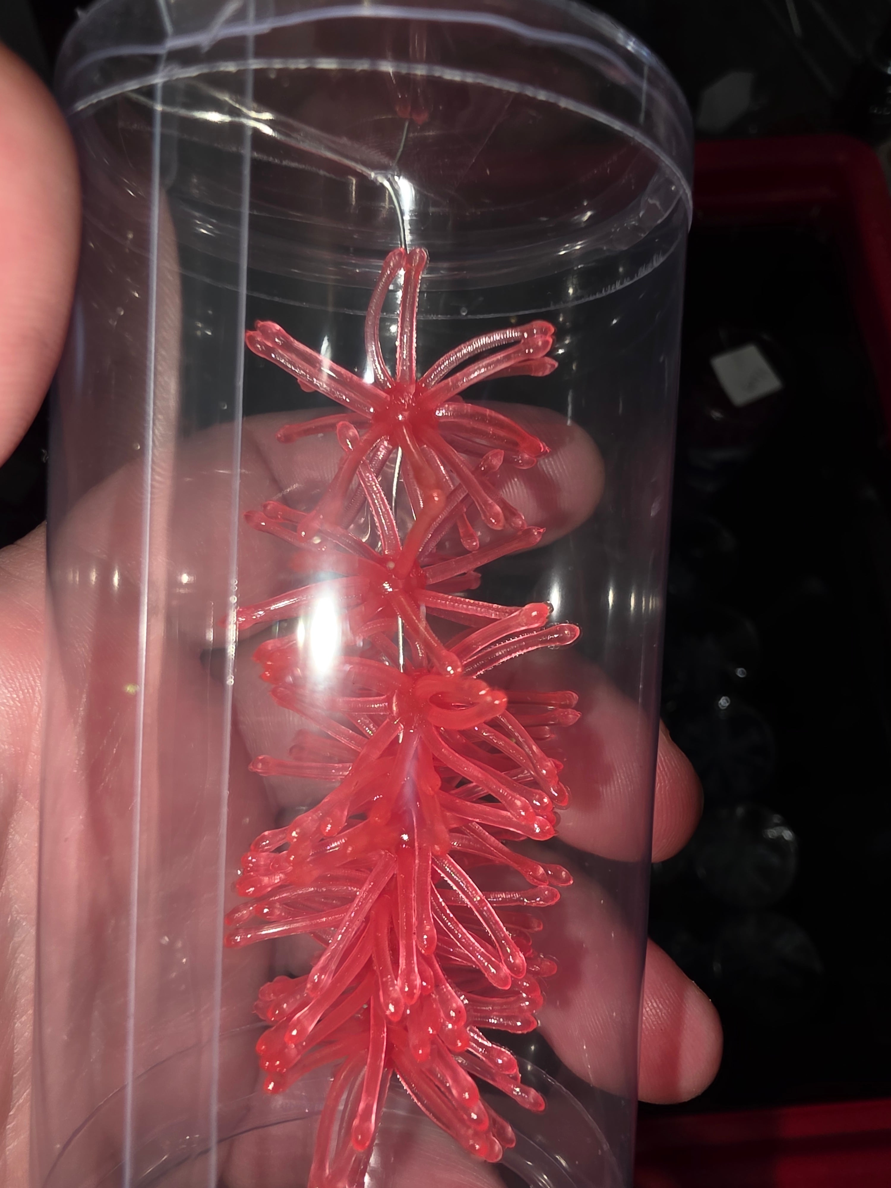 1.25" Super Panfish Urchins