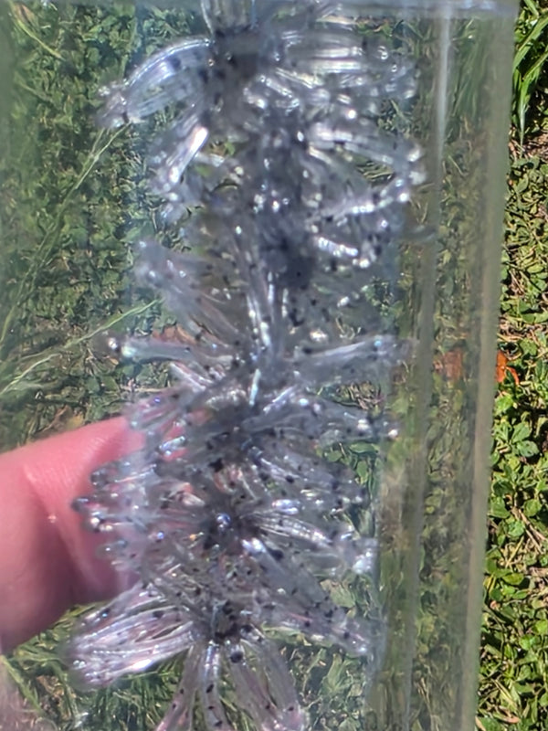 1.25" Super Panfish Urchins