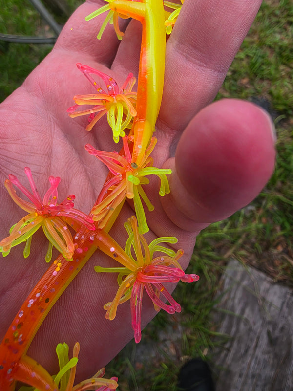 1.25" Super Panfish Urchins