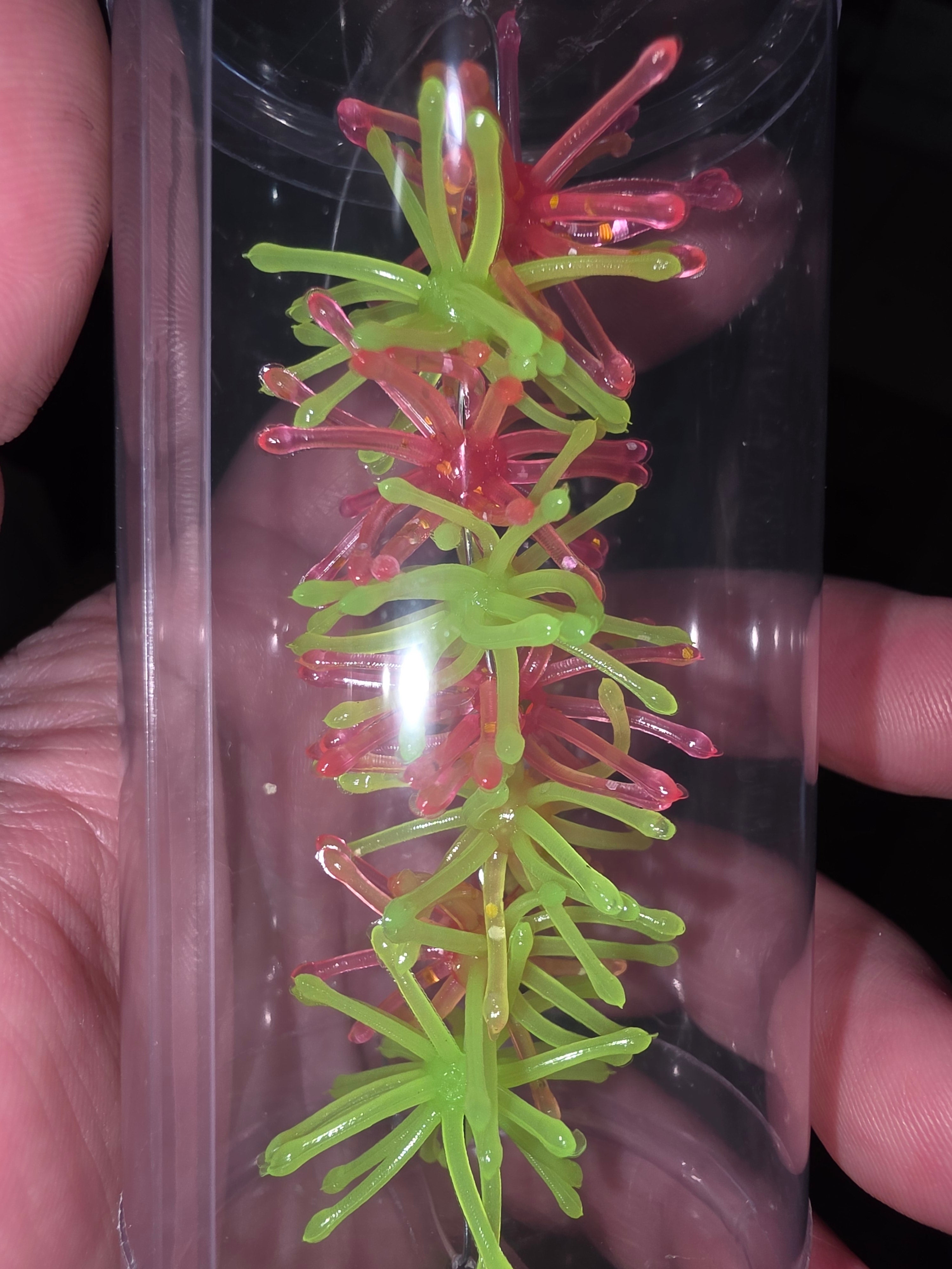 1.25" Super Panfish Urchins
