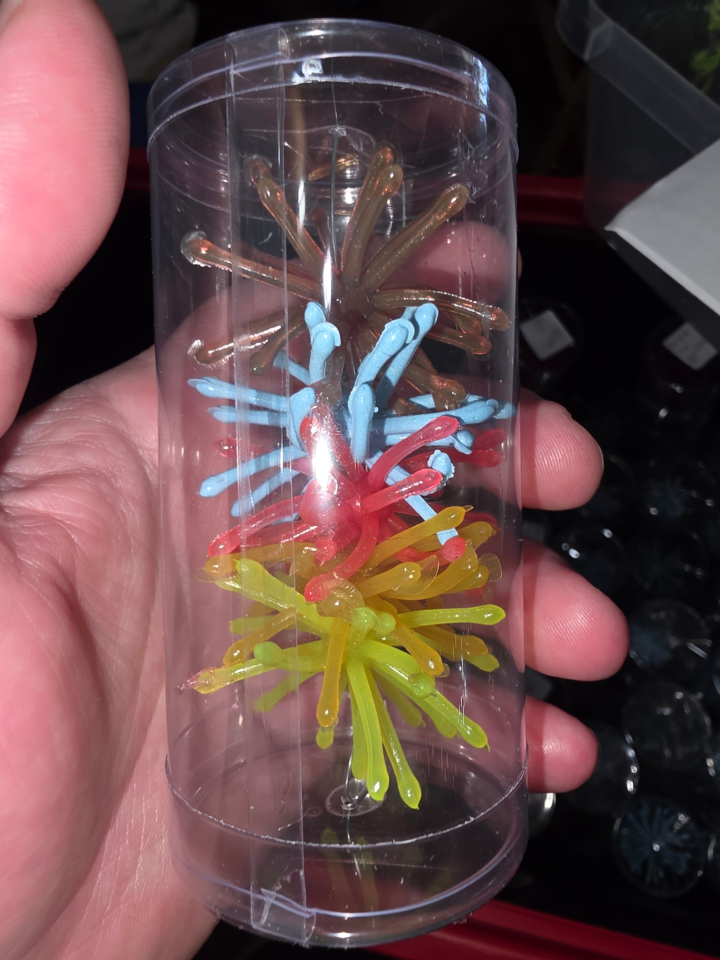 1.75" Super Crappie Urchins