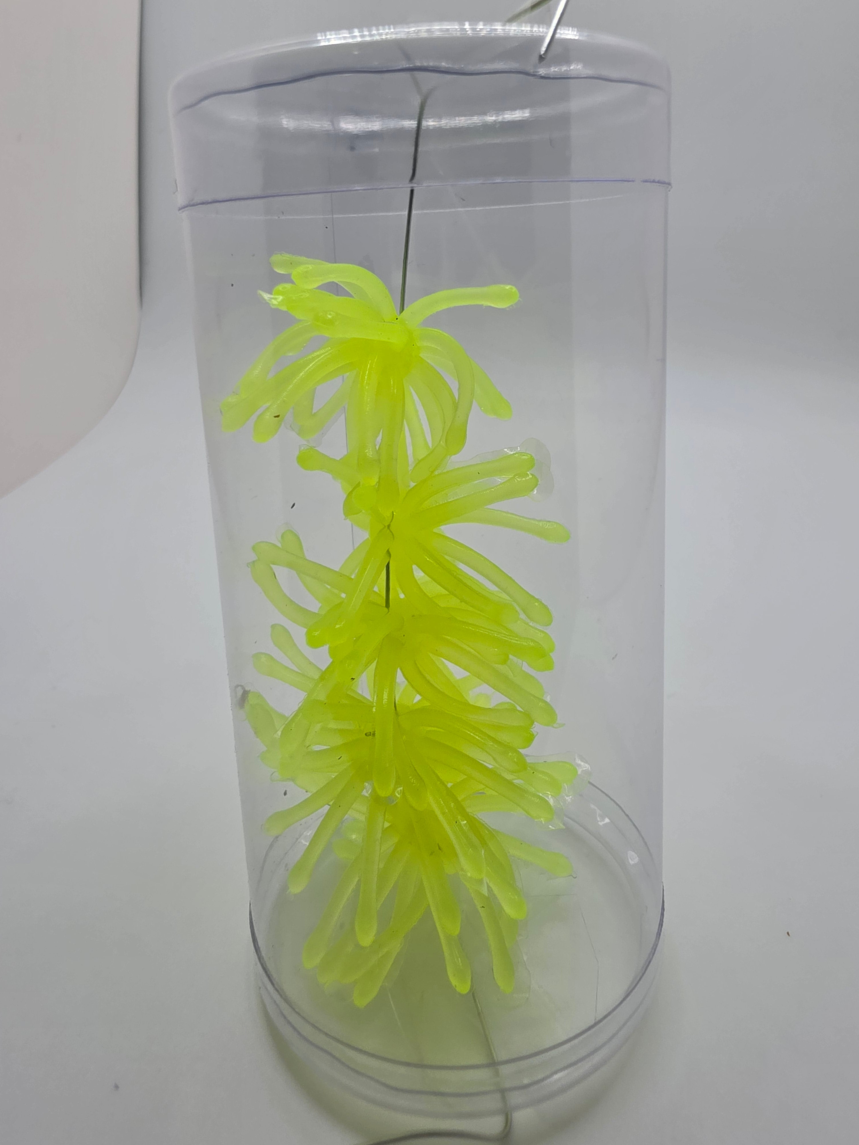 1.75" Super Crappie Urchins