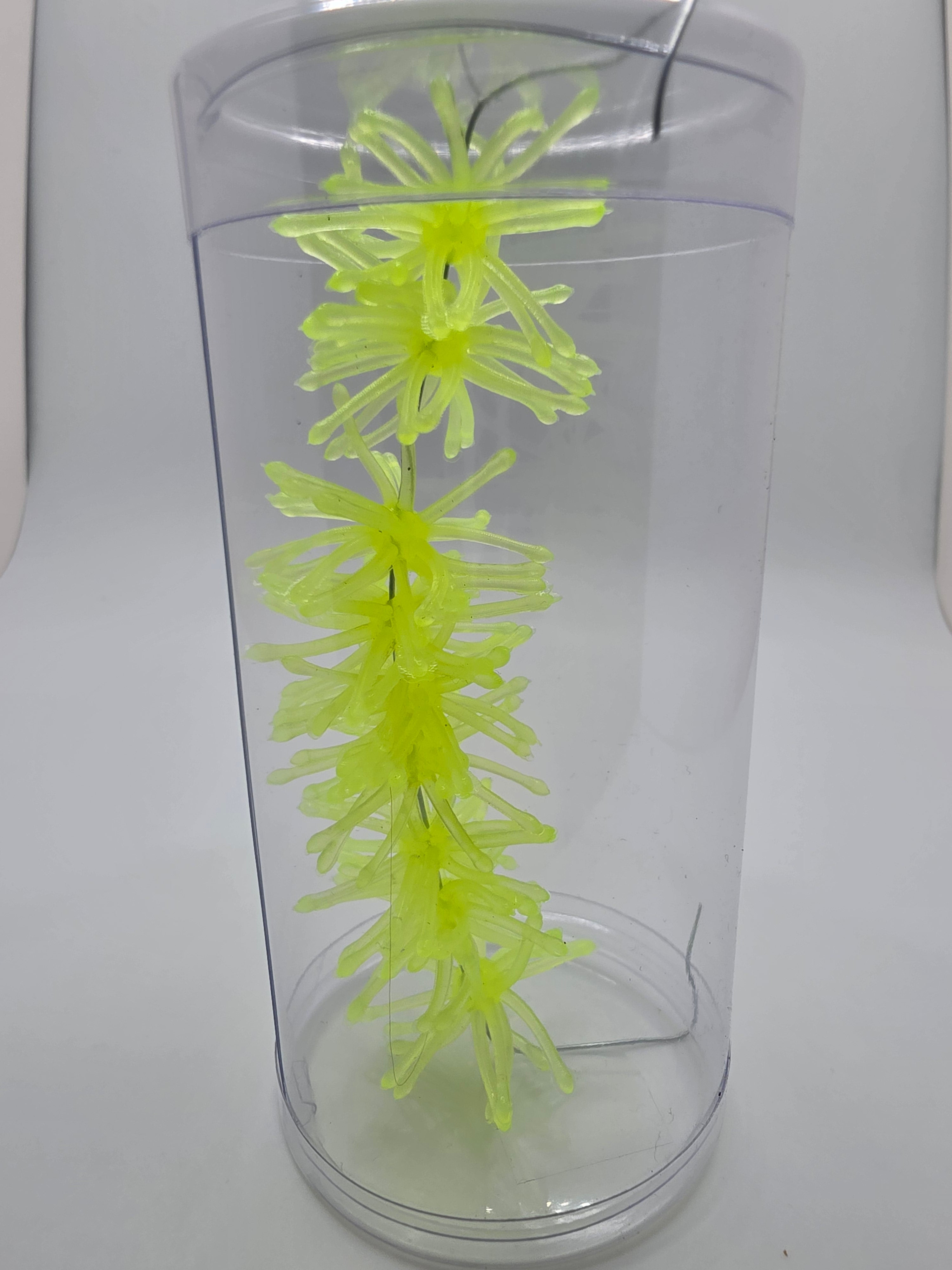 1.25" Super Panfish Urchins