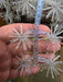 1.25" Straight Leg Super Panfish Urchin | Crappie Jigs - photo 3