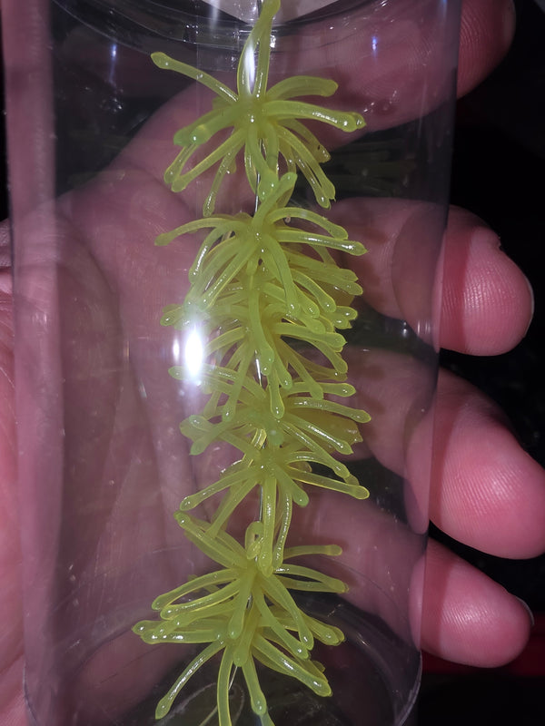 1.25" Super Panfish Urchins