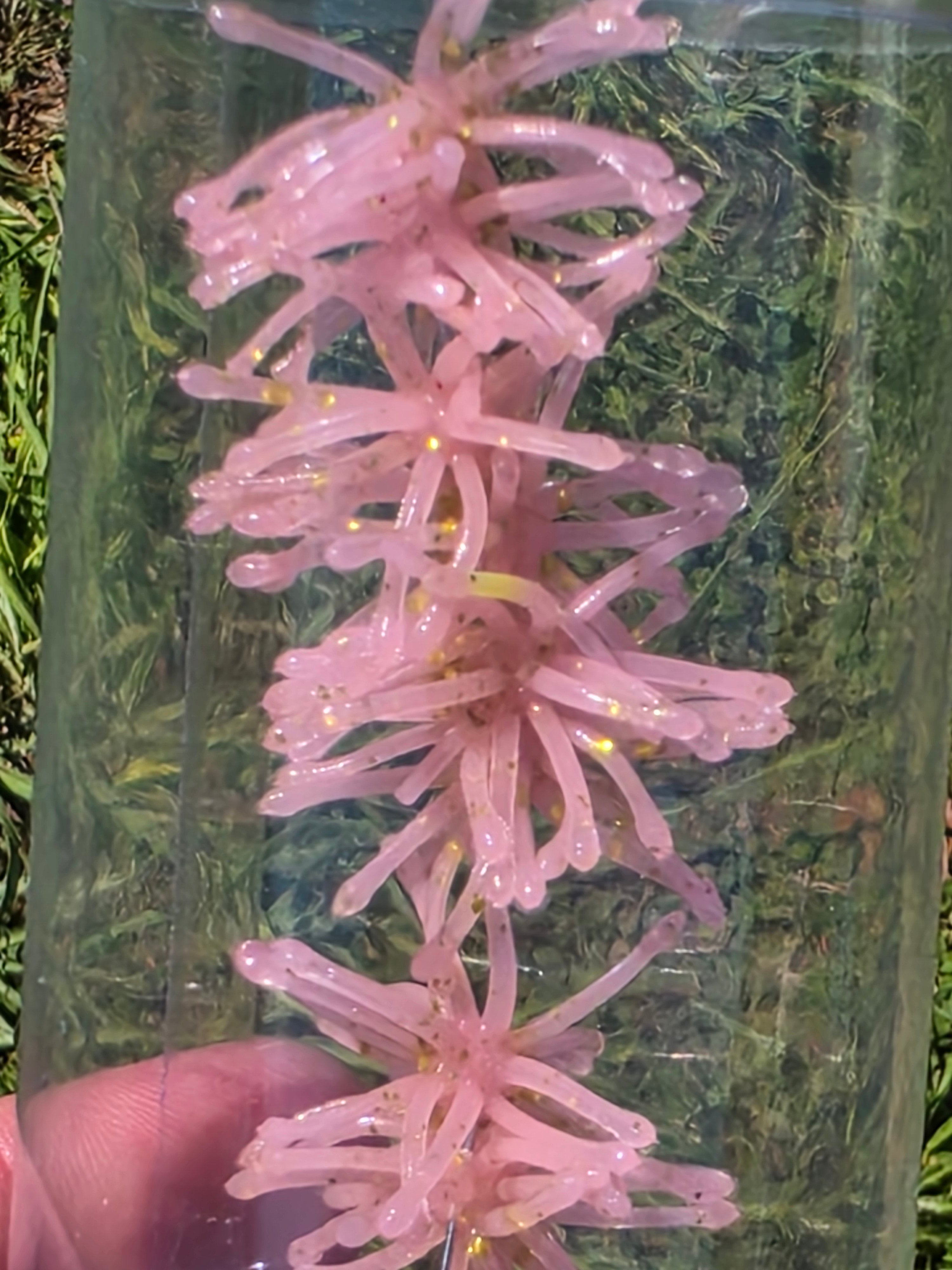 1.25" Super Panfish Urchins