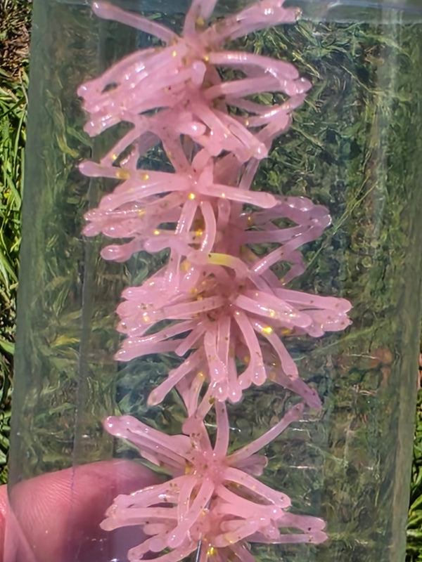 1.25" Super Panfish Urchins