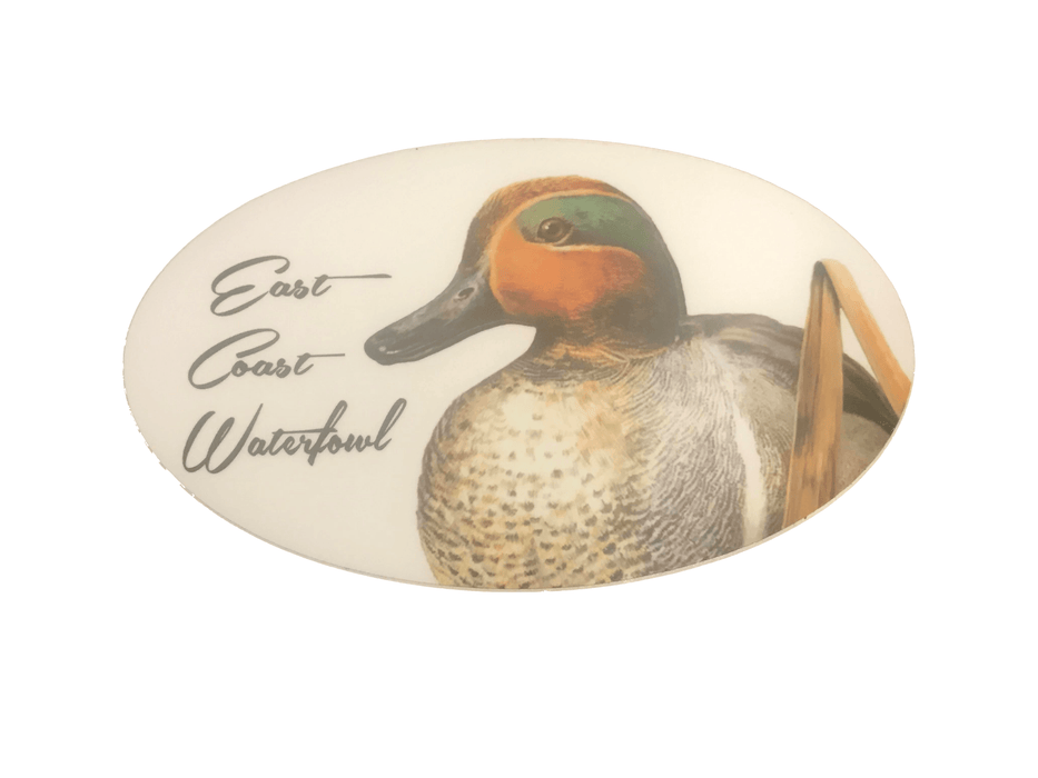 ECW Green Winged Teal Decal | East Coast Waterfowl - Hunting and Fishing Depot