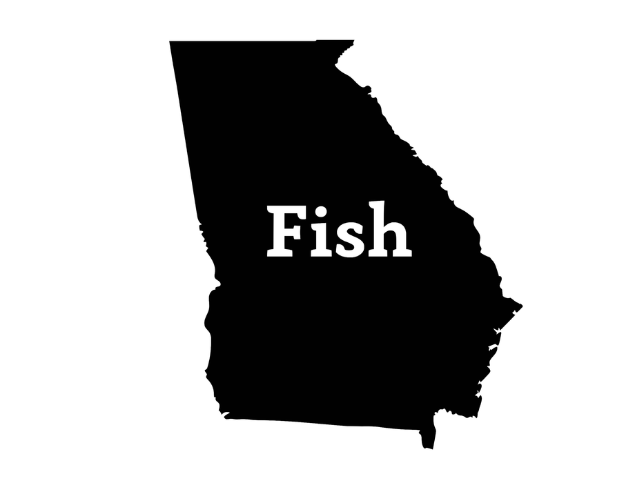 Fish Georgia Decal - Hunting and Fishing Depot