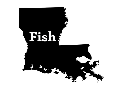 Fish Louisiana Decal - Hunting and Fishing Depot