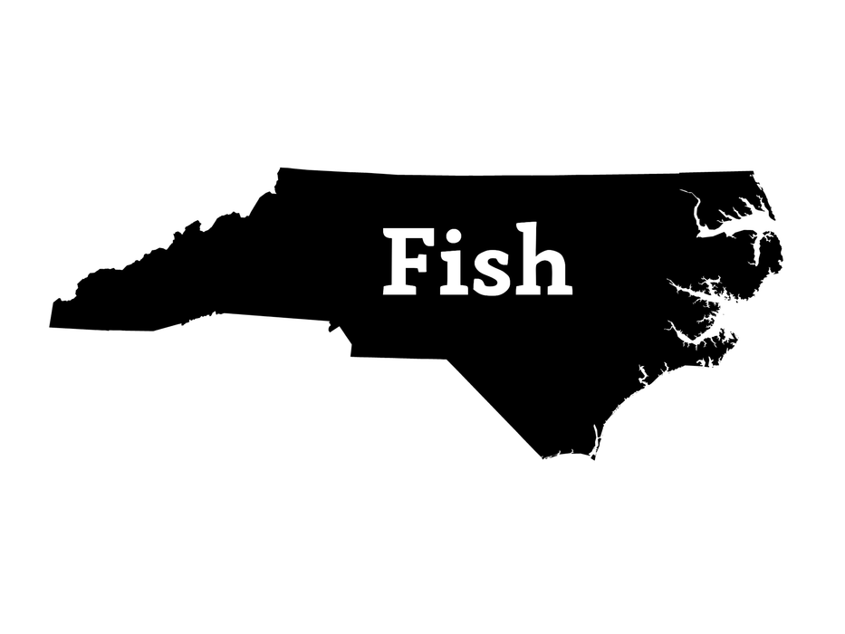 Fish North Carolina Decal - Hunting and Fishing Depot