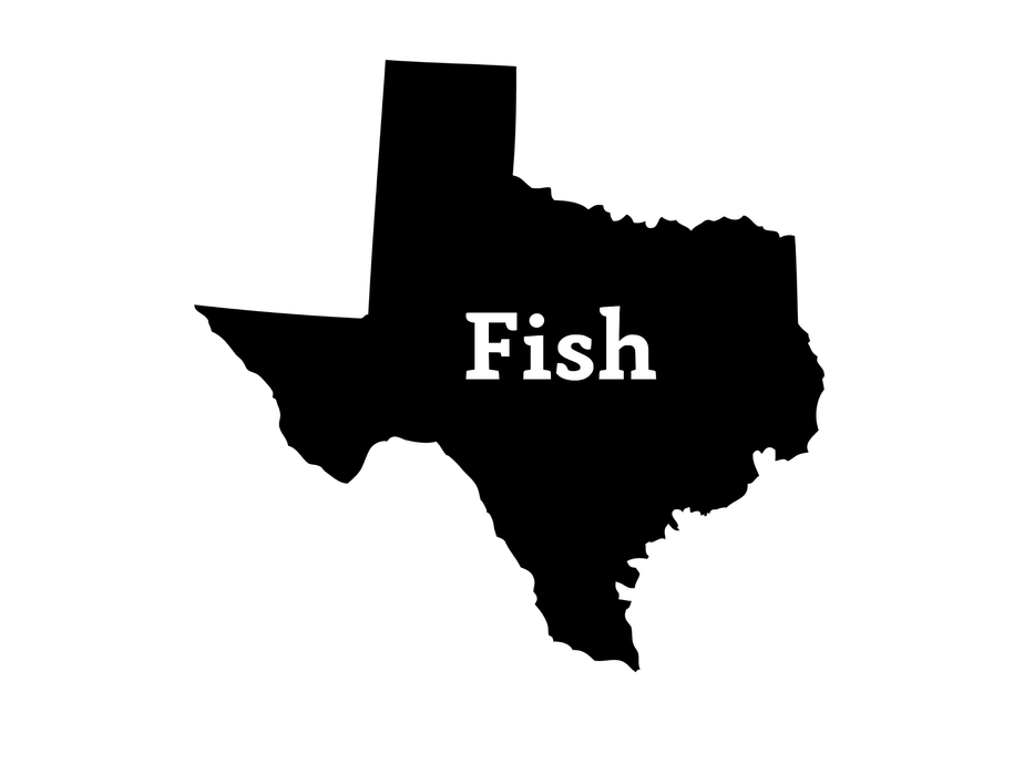 Fish Texas Decal - Hunting and Fishing Depot
