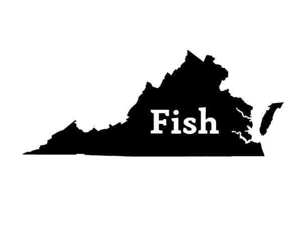 Fish Virginia Decal - Hunting and Fishing Depot