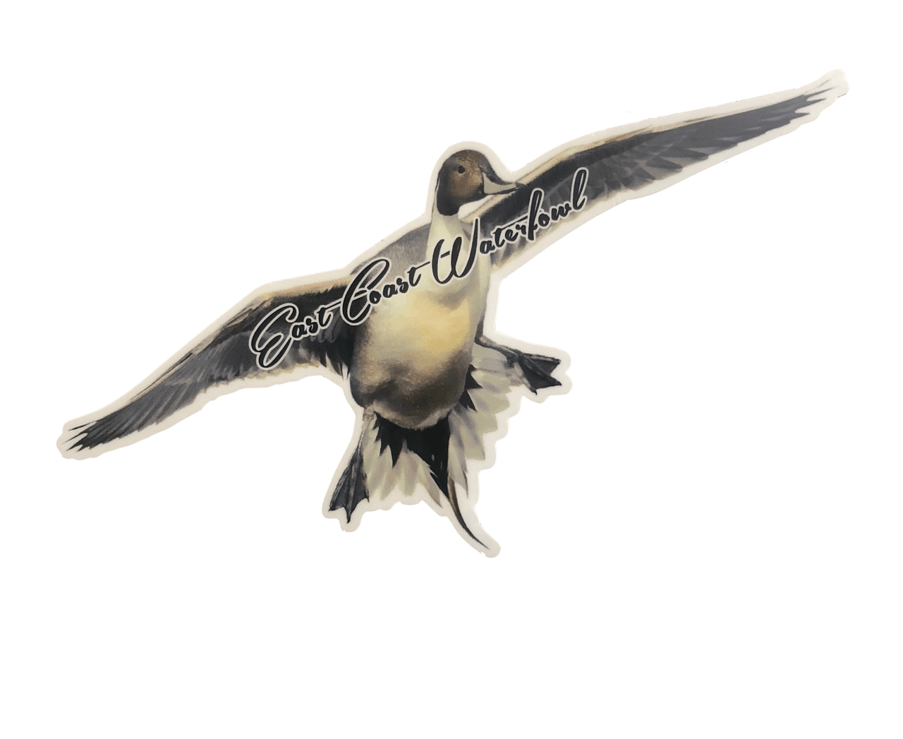 Flying Pintail Decal | East Coast Waterfowl - Hunting and Fishing Depot
