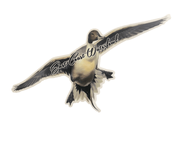 Flying Pintail Decal | East Coast Waterfowl - Hunting and Fishing Depot