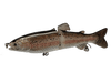 The Broken Back Trout™ Swimbait Glider - Hunting and Fishing Depot