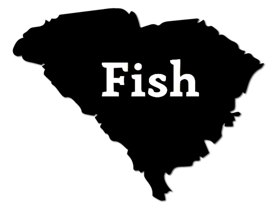 Fish South Carolina Decal - Hunting and Fishing Depot