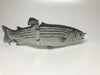 The Broken Back Trout™ Swimbait Glider - Hunting and Fishing Depot