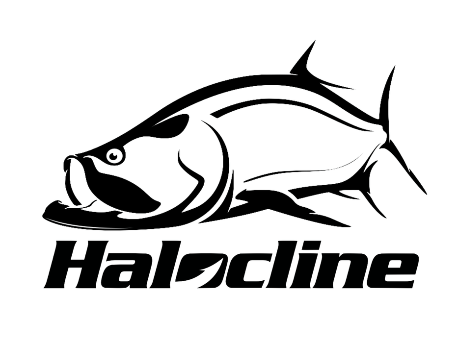 Halocline Tarpon Decal - Hunting and Fishing Depot