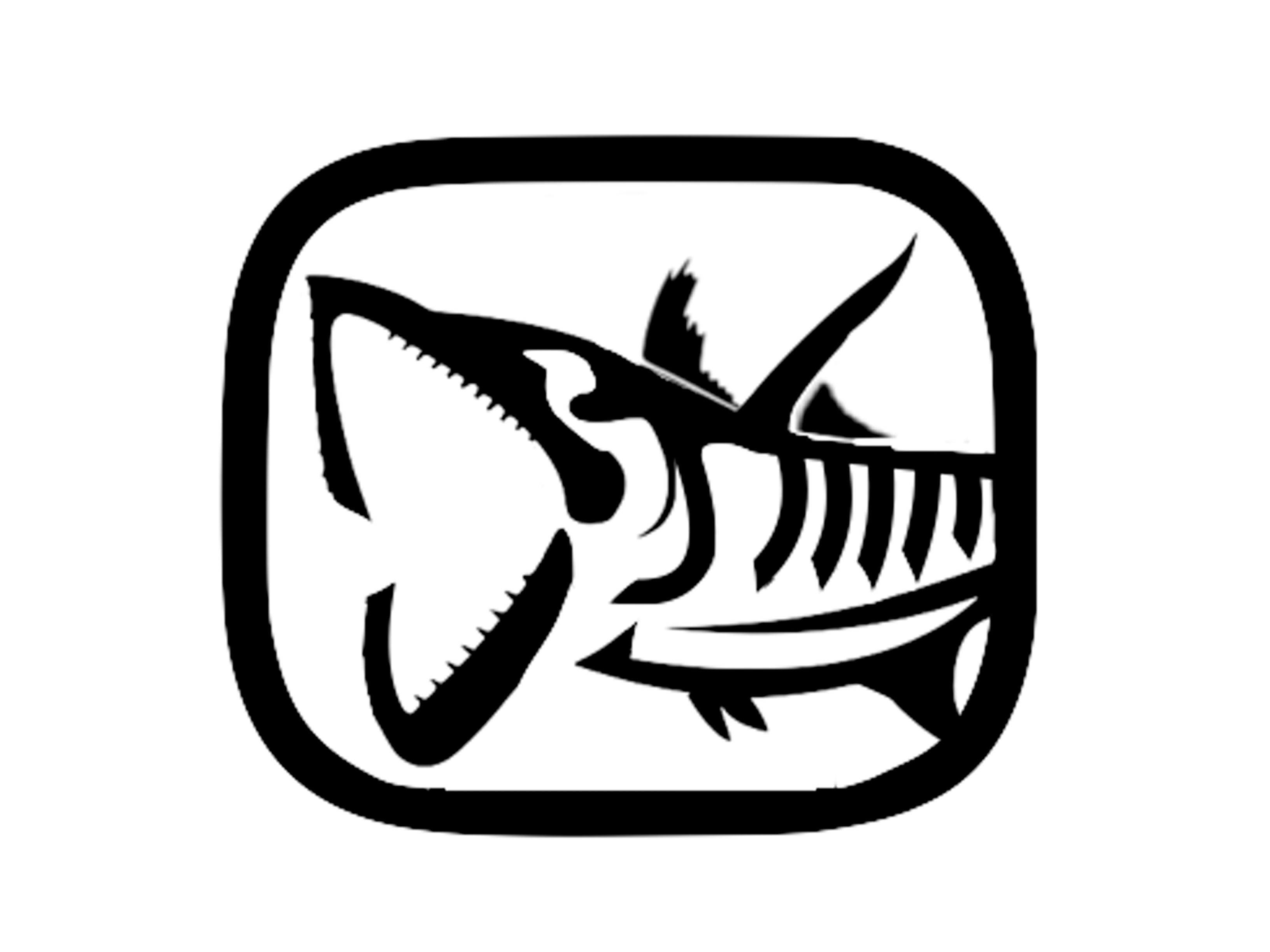 Barracuda Decalcomanie Adesivi da pesca Scatola per attrezzatura RV Camion Camper Rimorchio AFP-0125 - Italia